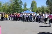 Семь дел навстречу лету