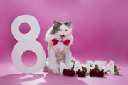 8 марта!