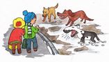 Как вести себя с бездомной собакой.